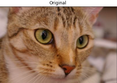 opencv