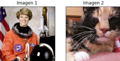opencv